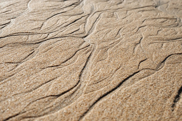 Sea coast light sand with streams of beds close-up. natural surface texture