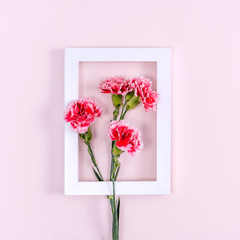 Mother's Day, Valentine's Day background design concept, beautiful pink, red carnation flower bouquet on pink table, top view, flat lay, copy space.