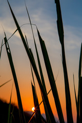 Sunset in Bali Island