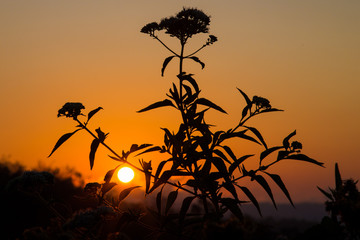 Sunset in Bali Island