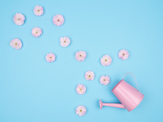 Delicate pink flowers and watering can on blue background.
