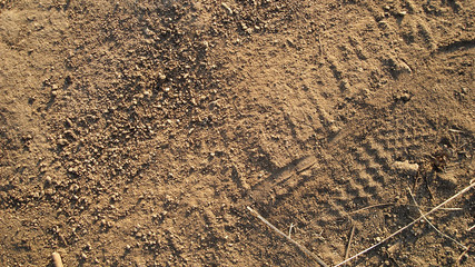 Brown earth background. Earth texture.