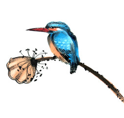 Hand draw watercolor of  kingfisher sitting on a lotus branch. Colorful stock illustration isolated on white background. Traditional chinese ink painting.