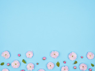 Buds, flowers, petals and leaves on a blue background.