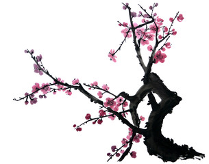 A branch of a blossoming tree. Pink and red stylized flowers of plum mei, wild apricots and sakura.
