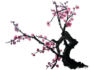 Fototapeta premium A branch of a blossoming tree. Pink and red stylized flowers of plum mei, wild apricots and sakura.