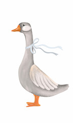 Gray goose with blue ribbon isolated on a white background. Bright illustration for children, logo, poster, sticker, wallpaper.
