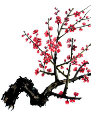 A branch of a blossoming tree. Pink and red stylized flowers of plum mei, wild apricots and sakura. Watercolor and ink illustration in style sumi-e. Traditional chinese ink painting.