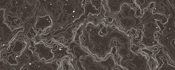 Abstract topographic map. Topo contour map background concept - obrazy, fototapety, plakaty