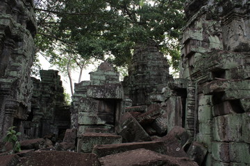 Fototapeta na wymiar ta prohm temple cambodia