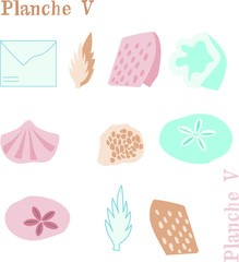 vector illustration 
marine plants
 and shapes