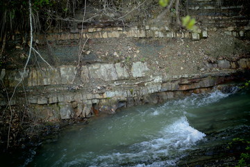 river in the forest