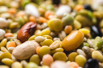 Close up shot of different kind of legumes