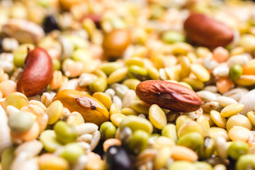 Close up shot of different kind of legumes