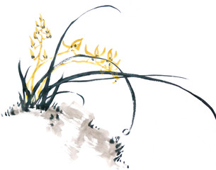A blossoming cymbidium orchid isolated on white background. Watercolor and ink illustration in style sumi-e. Traditional chinese ink painting. © Viktoria