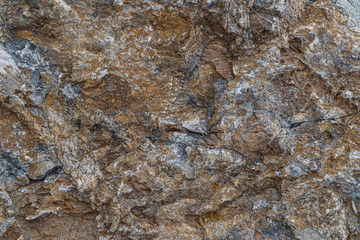 Gold ore texture close-up. Contains quartz, mica, feldspar, chlorite, garnet, carbonate, sulfides...
