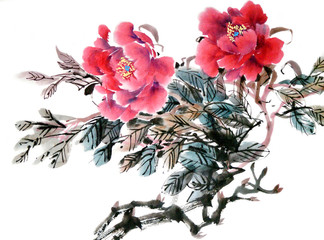 Watercolor of peony flower, traditional chinese ink and wash painting. Stock illustration for your design.
