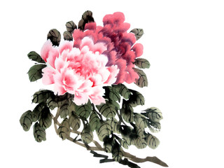 Watercolor of peony flower,traditional chinese ink and wash painting. Stock illustration for your design. © Viktoria