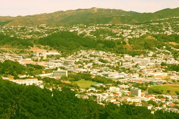 Fototapeta na wymiar Wellington city. Vintage filtered colors style.