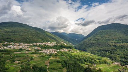 Fototapeta na wymiar Cembra Valley landscape : vineyard surround the village of Cembra, Valle di Cembra, Trentino Alto Adige, northern Italy