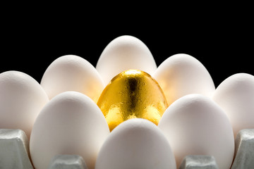 the story of a special chicken egg