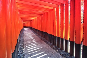 Japan - Fushimi Inari. Filtered image style.