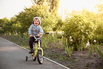 Obraz premium Joyful day off of a little boy in the park on a bicycle. Alley at sunset.
