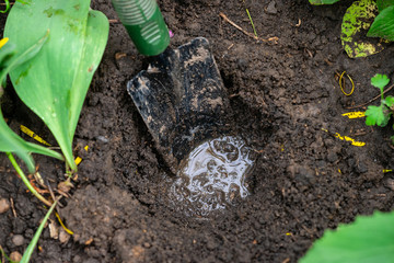 dig a flower pit in a spring garden