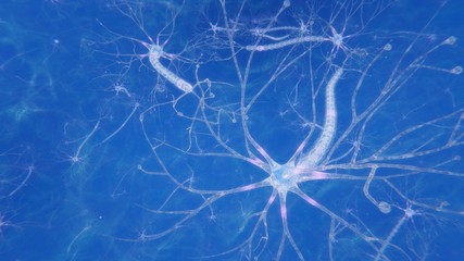 3d illustration brain neurons with synapses and axons