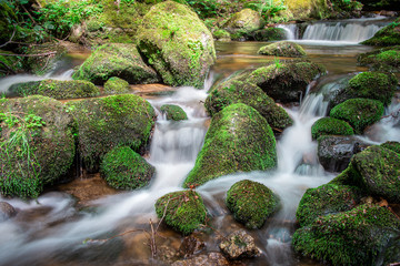 Waterfalls and Cascades in the Ysperklamm in Yspertal Lower Austria