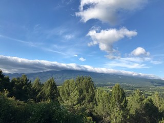 Naklejka premium Provence, France