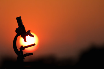 The microscopic silhouette placed on the table and the background is a beautiful view of the setting sun in the evening.