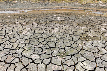 The cracked ground in the dry season of the river that is dry by the heat.
