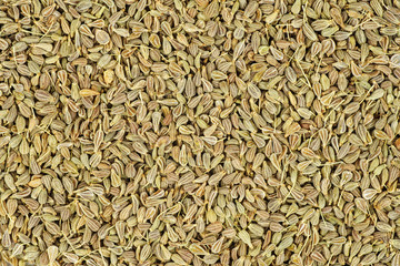 Food background: dried anise seeds
