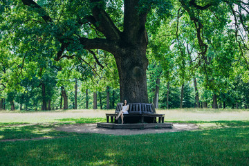 Beautiful young girl sitting on a bench near a tree. Girl in a summer dress in the park. Young woman sitting on a wooden bench.