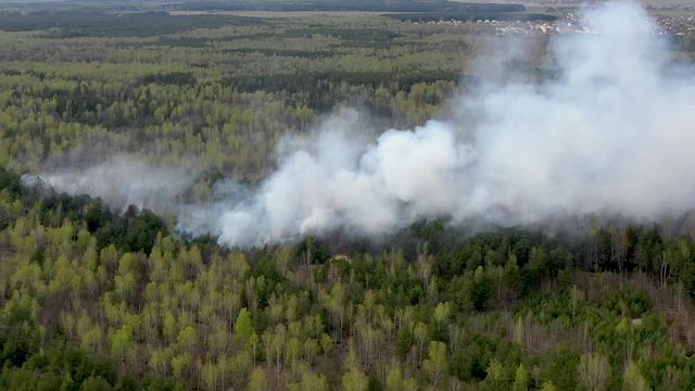 Aerial view of the beginning of a fire in the forest. Smoke over the forest