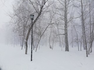Fototapeta na wymiar snowstorm