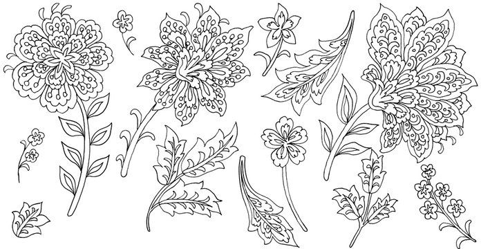 Hand-drawn flowers and leaves, Paisley Style, white background