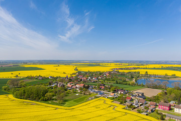 Aussicht auf das Dorf Bertikow in der Uckermark, eingerahmt von Rapsfeldern