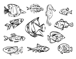 fish line art illustration set, black outline illustration isolated on white background, aquarium decorative fish isolated collection
