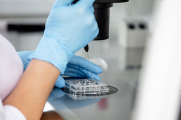Hands of a doctor in gloves working in a laboratory with a microscope close up