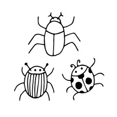 beetles set hand drawn elements in doodle style. vector scandinavian insects