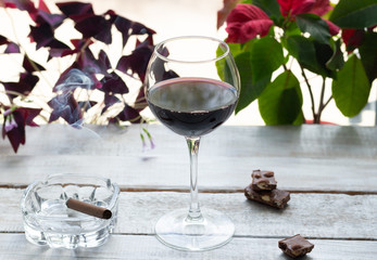 Drinking red wine in glass, smoking cigar, eating chocolate with wite wooden background and window plant leaves