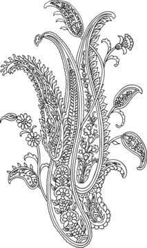Vector Paisley Materials on white background
