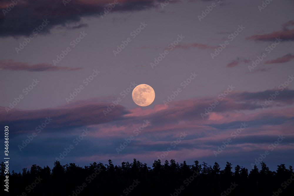 Wall mural full moon over the sky