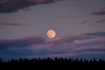 Sheer curtains Full moon full moon over the sky