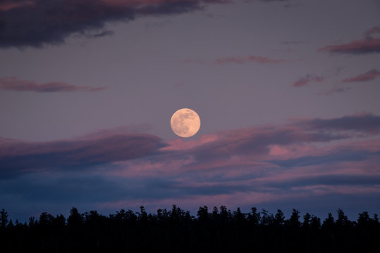 full moon over the sky