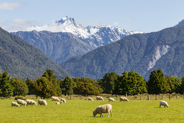 Fototapeta na wymiar Mount of Southern Alps. South Island, New Zealand