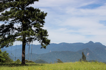 landscap mountain