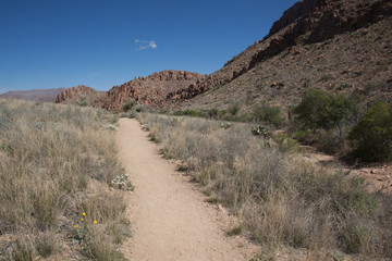 Path through the desert landscape